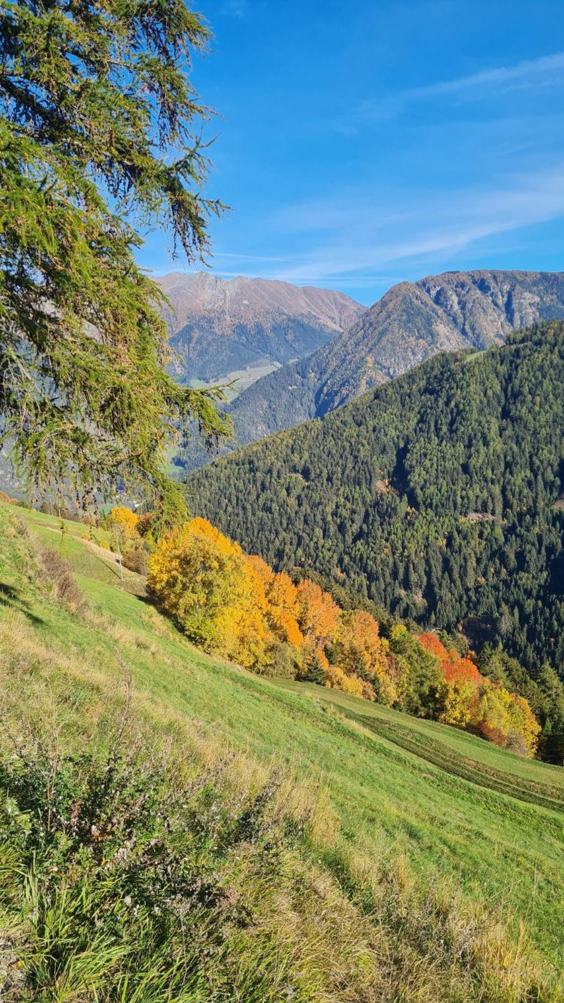 Gasserhof Freienfeld Zewnętrze zdjęcie